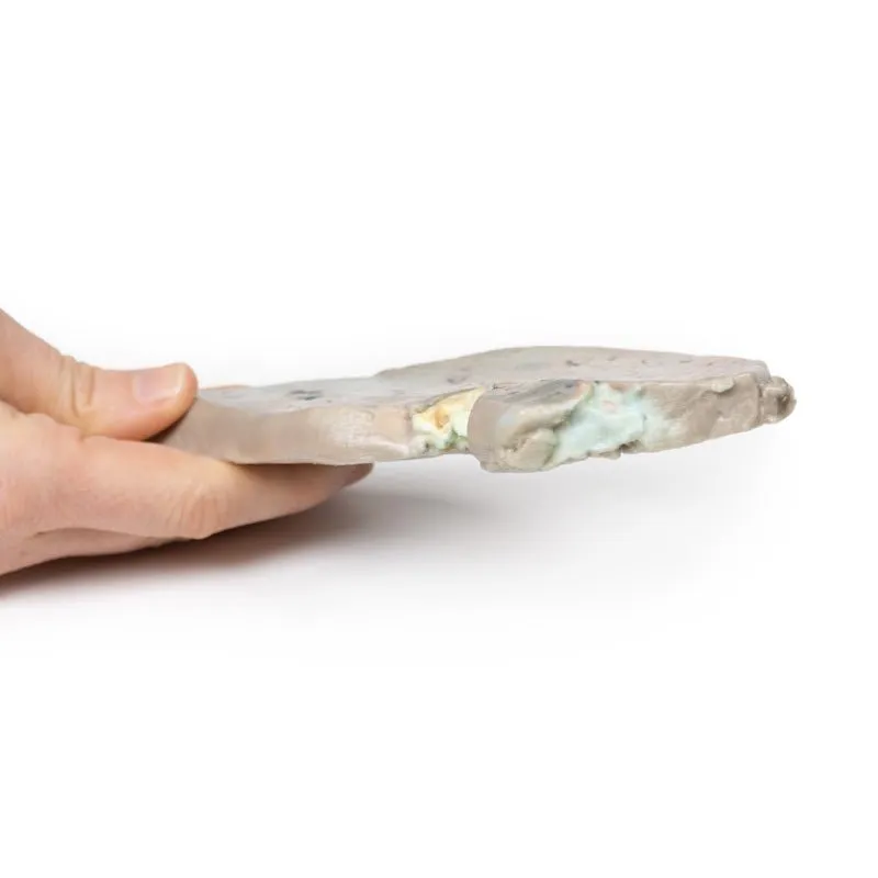 3D Printed Fatty Liver