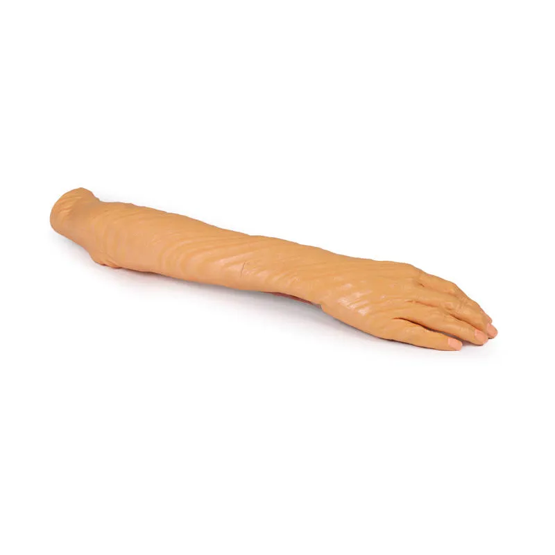 3D Printed Forearm and Hand Replica - Superficial and Deep Dissection