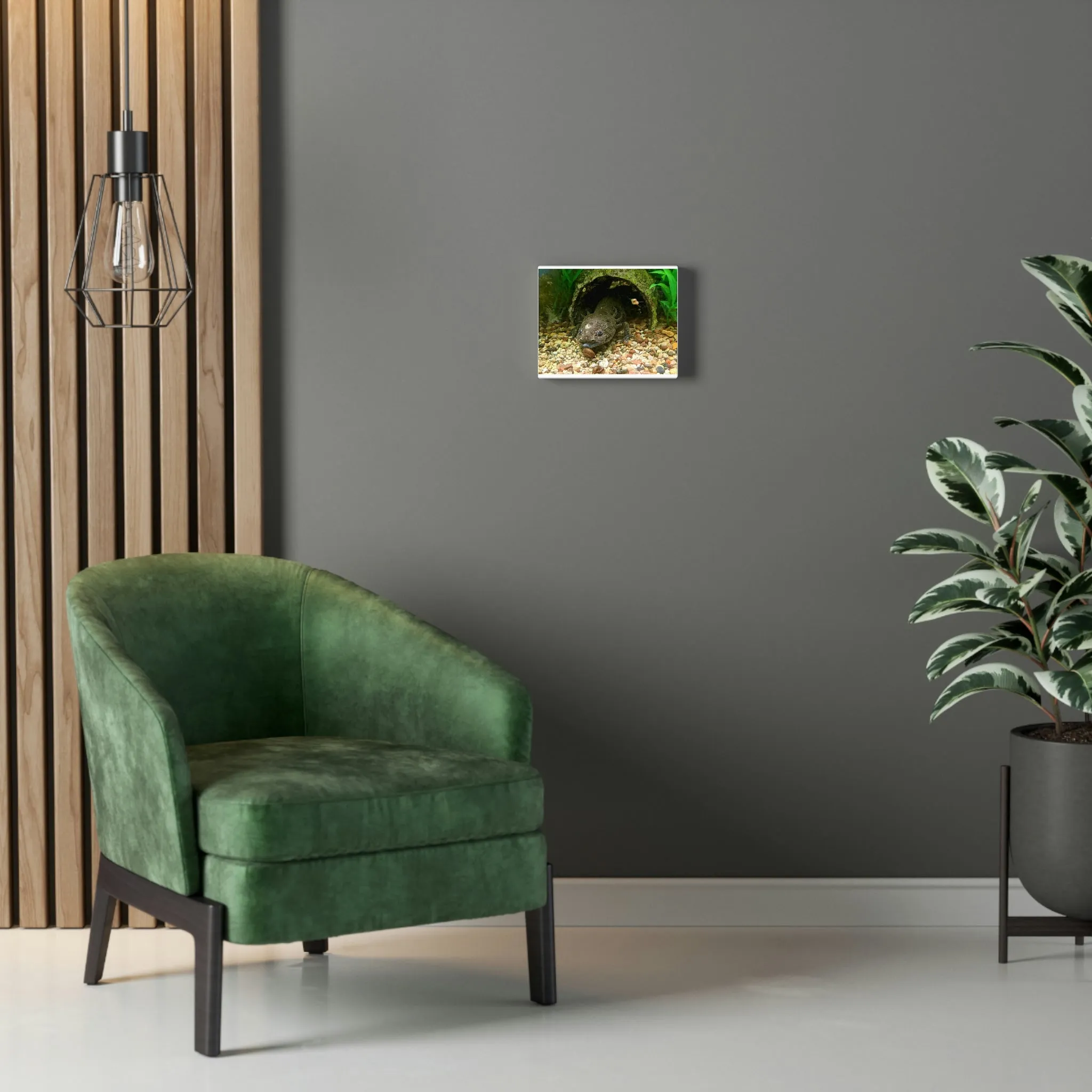 Axoltl Stretched Canvas