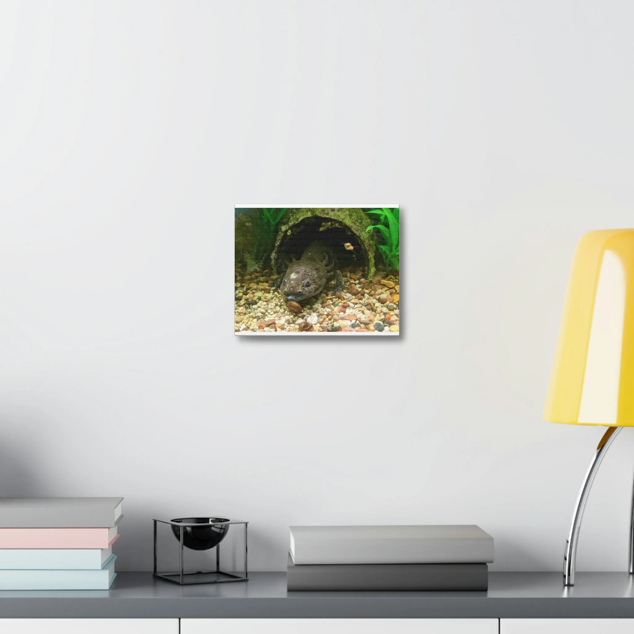Axoltl Stretched Canvas