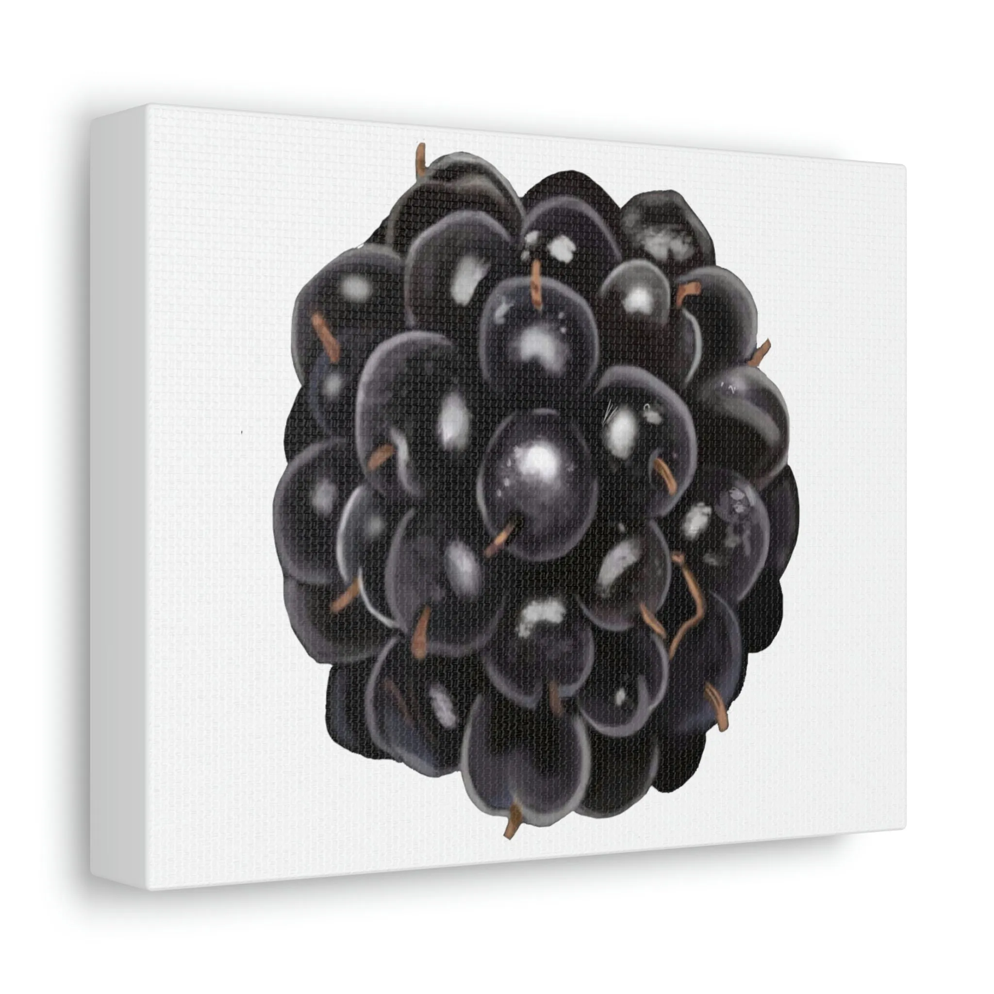 Blackberry Stretched Canvas