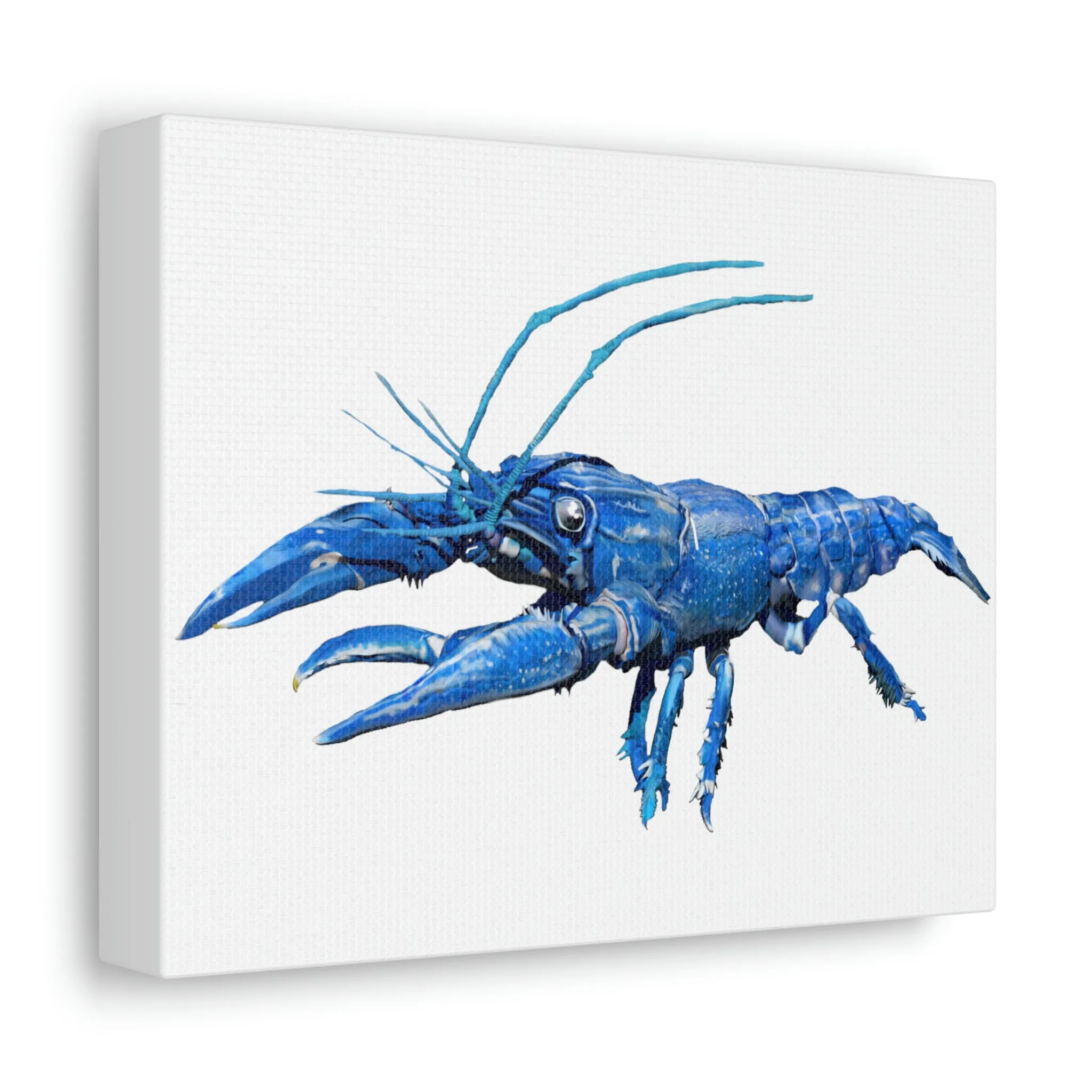 Blue Crawfish Stretched Canvas