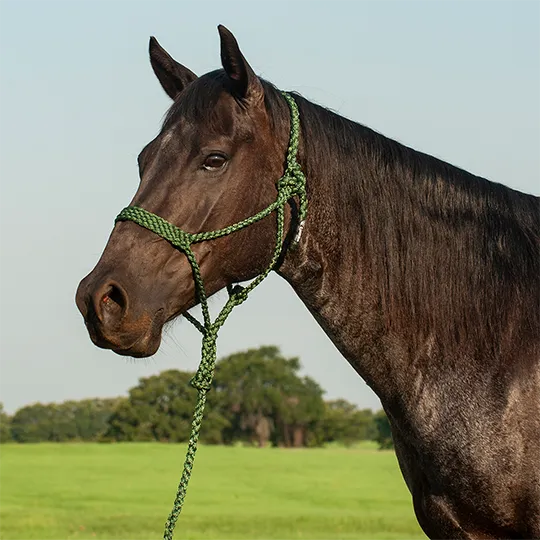 Cashel Flat Braid Halter with Lead Rope- Green