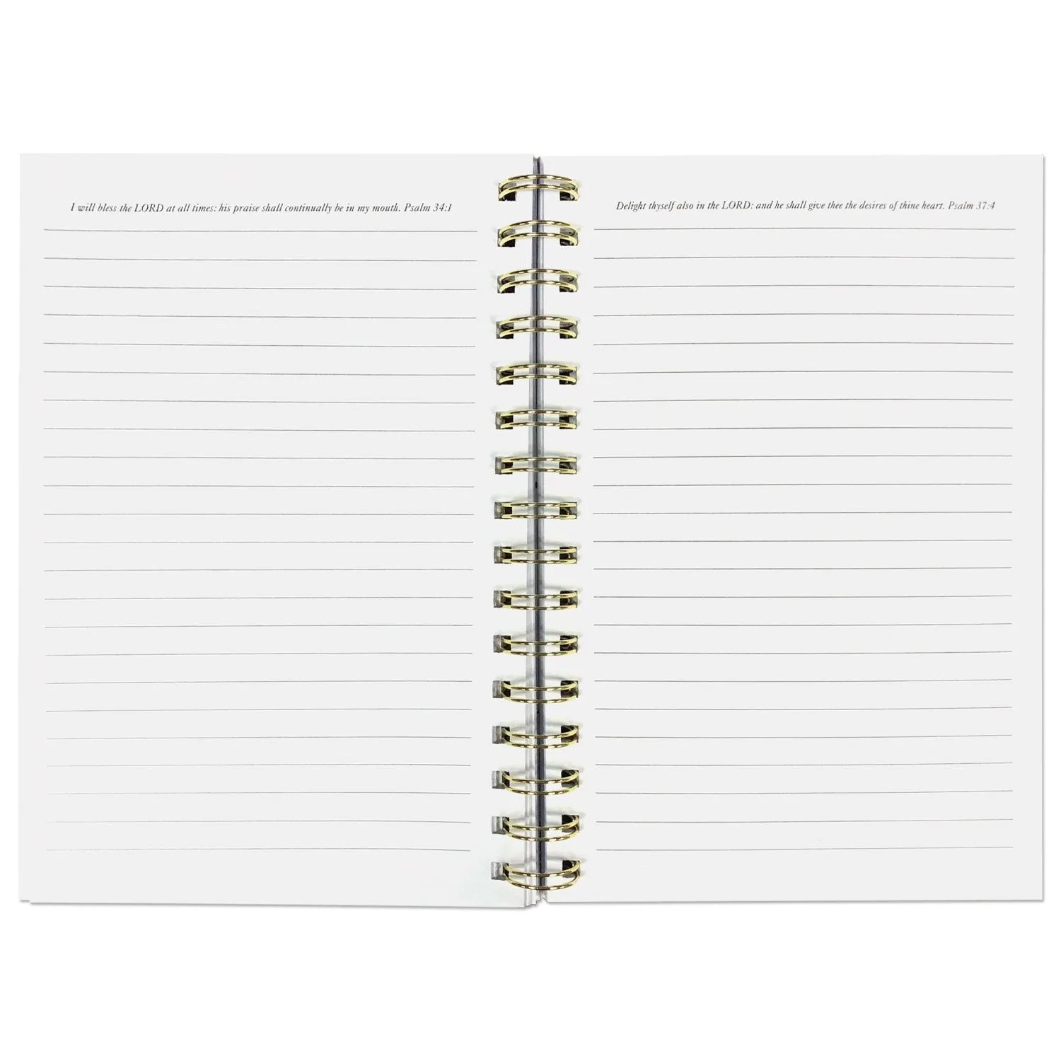FEARLESS JOURNAL