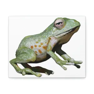 Green Frog Stretched Canvas
