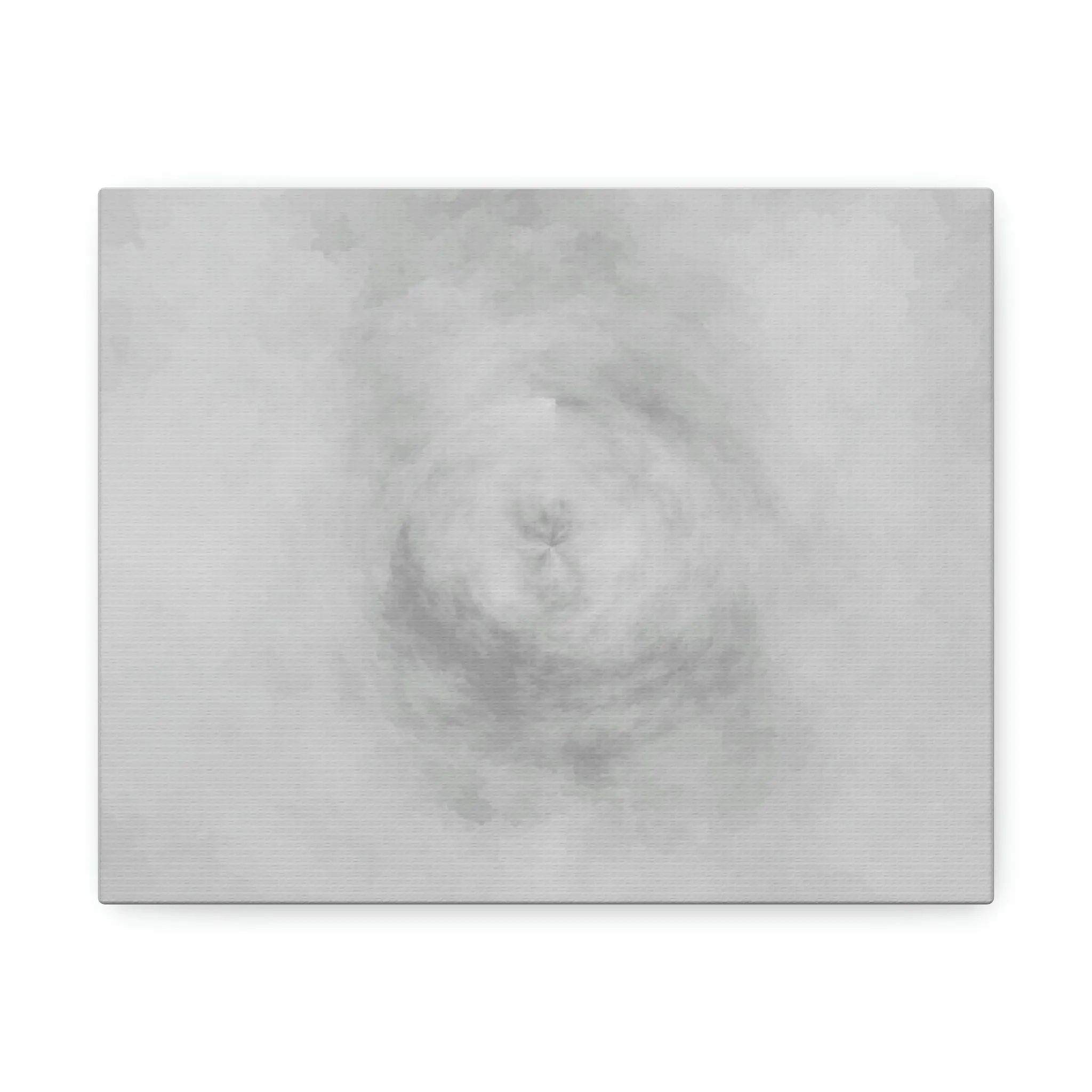 Illusion Stretched Canvas