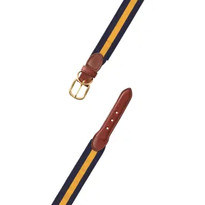 Navy & Maize Yellow Grosgrain Ribbon Dog Collar