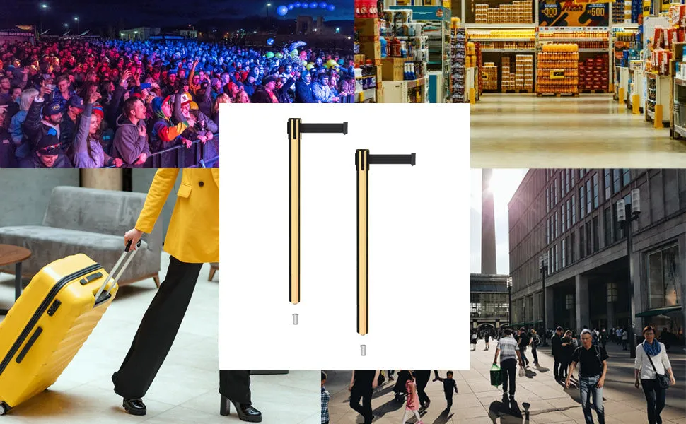 Retractable Belt Barrier Stanchion, Mini Socket Base, Polished Brass Post, 9 ft Belt - Montour Line MX630SK