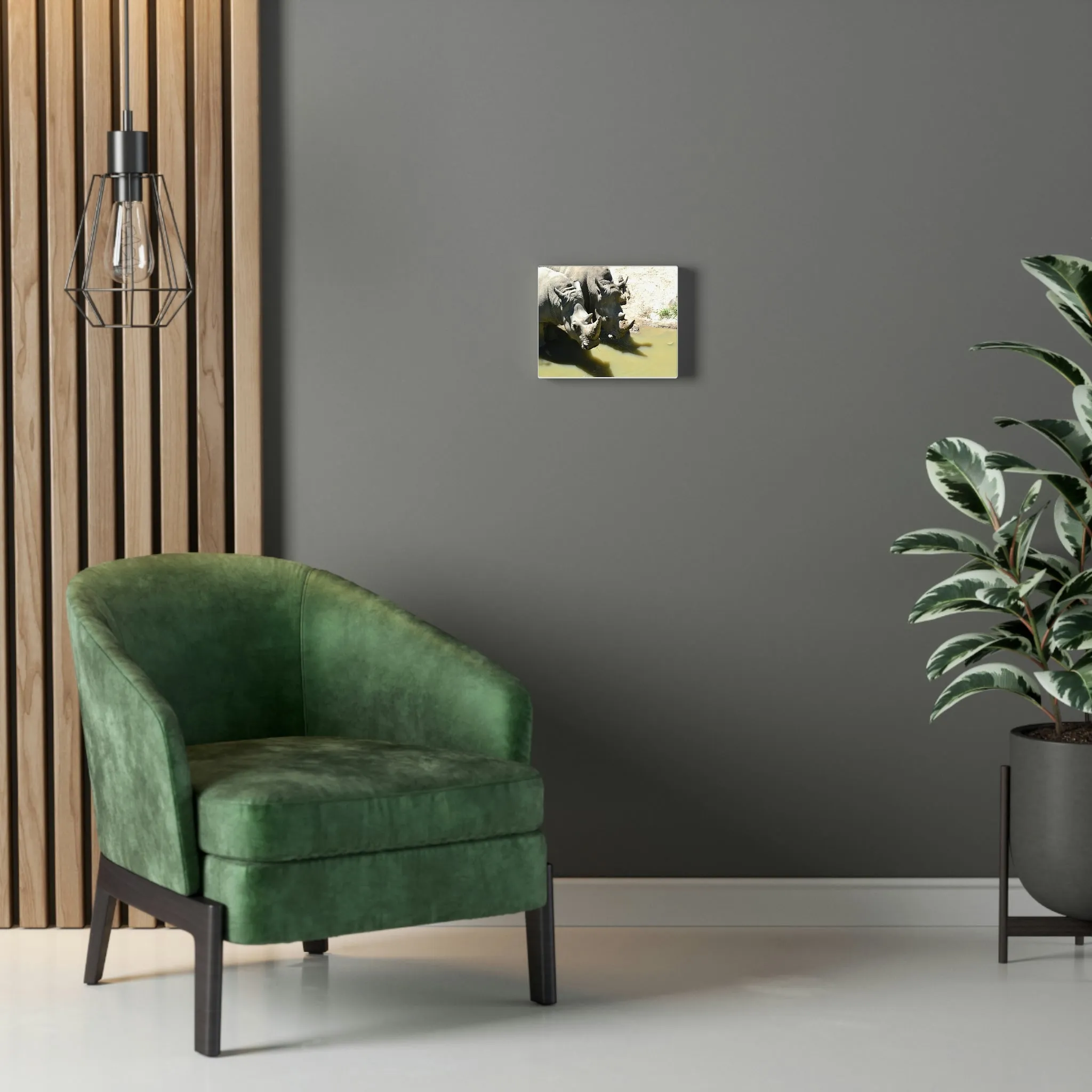 Rhinos Stretched Canvas