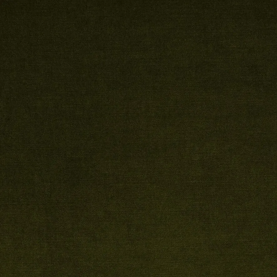 Trend Moss Velvet Fabric